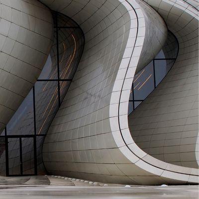 Untitled design (81)